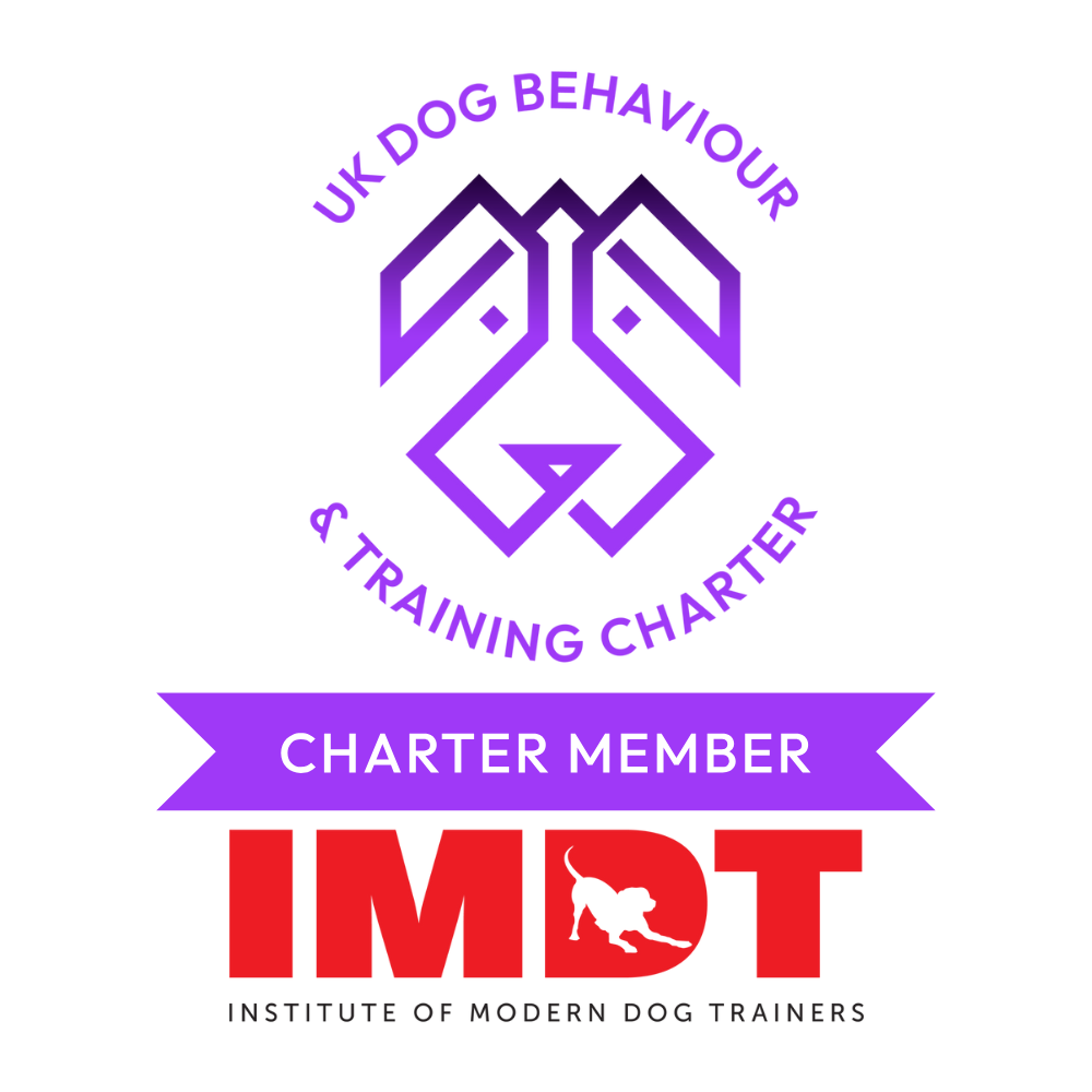 Chartered member IMDT logo A white logo with purple and red writing