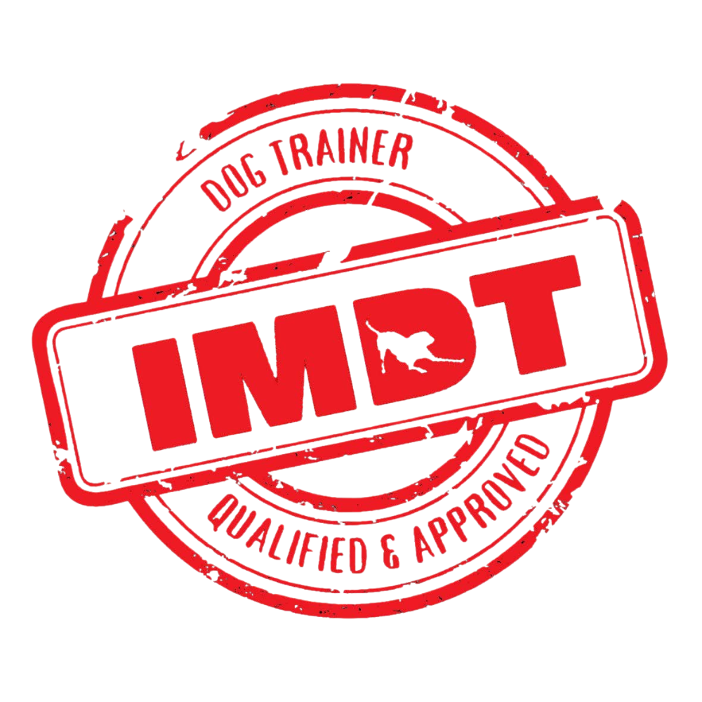 White background logo with red writing.